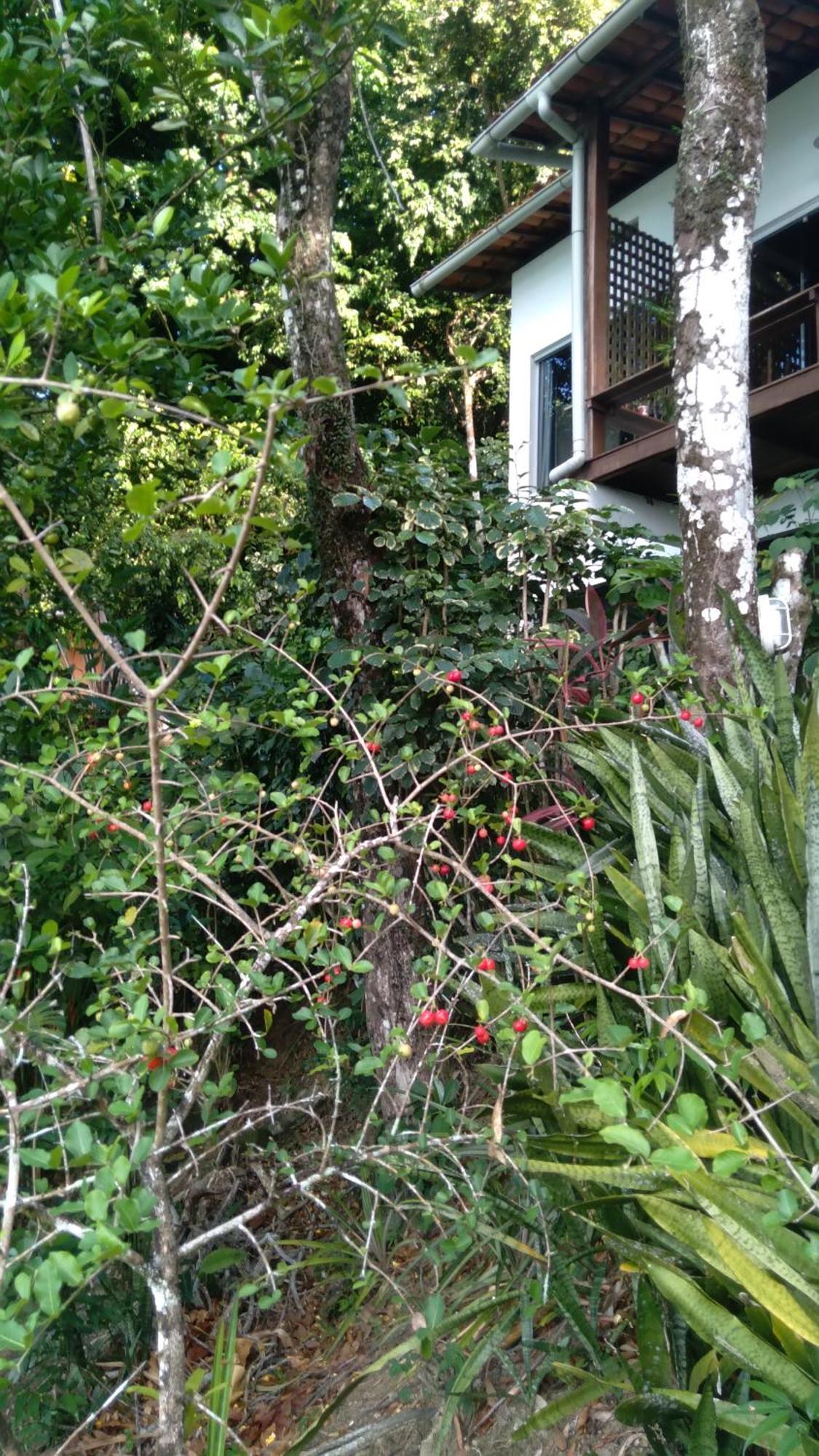 Villa Casa Shuhari Morro de São Paulo Exterior foto